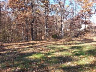 151 Edenway Road Dover, TN 37058 - Photo 6 of 20 Gallery Image 6