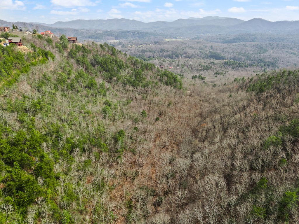 13-acres American Eagle Road Murphy, NC 28906 - Photo 6 of 17