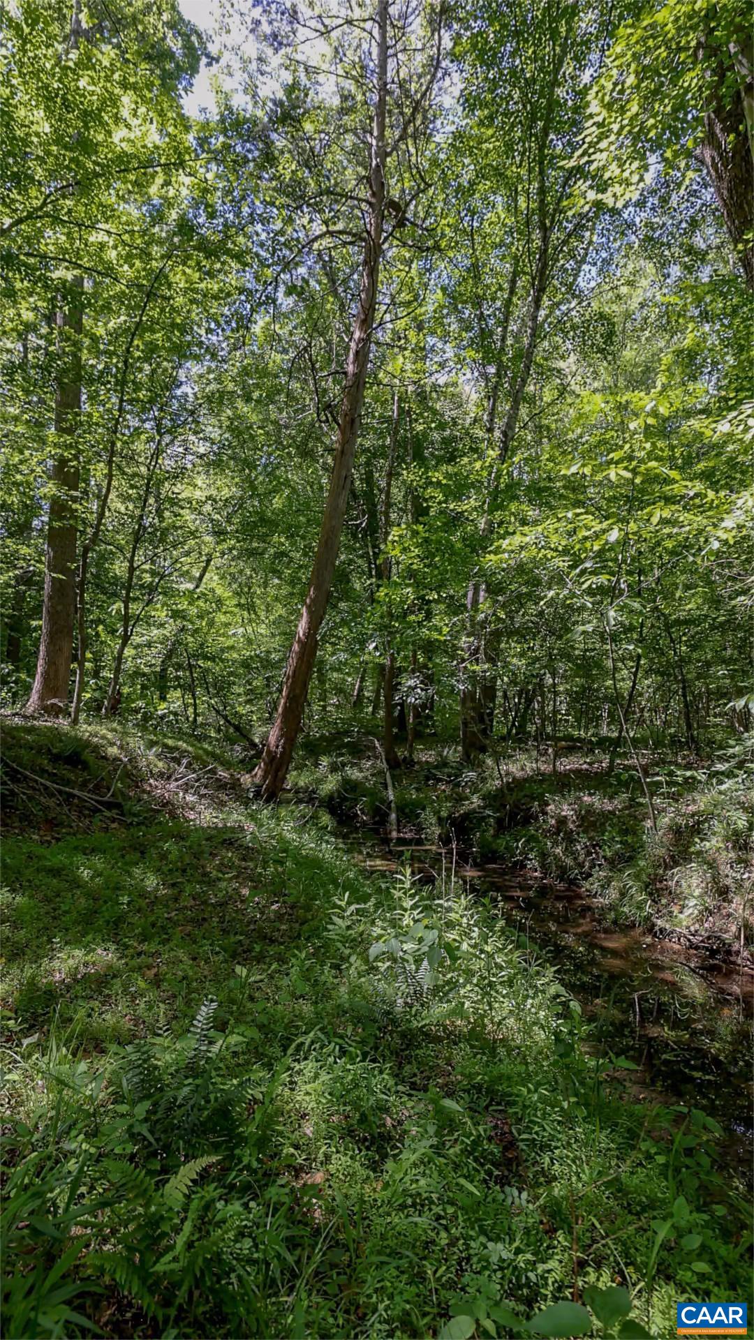 1075 Social Hall Road New Canton, VA 23123 - Photo 43 of 64