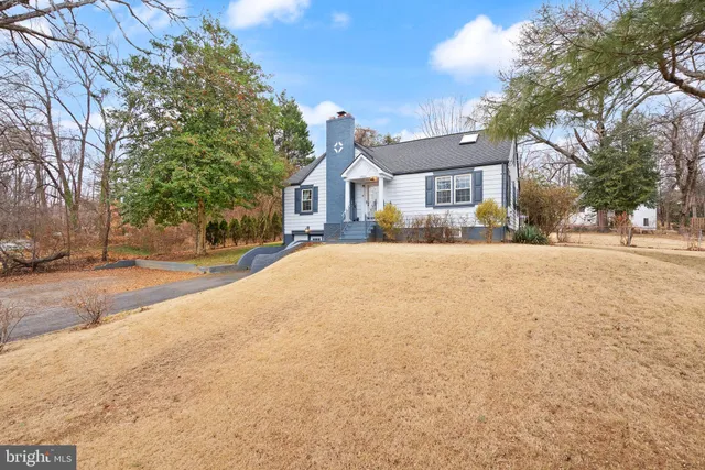 a view of road with large trees
