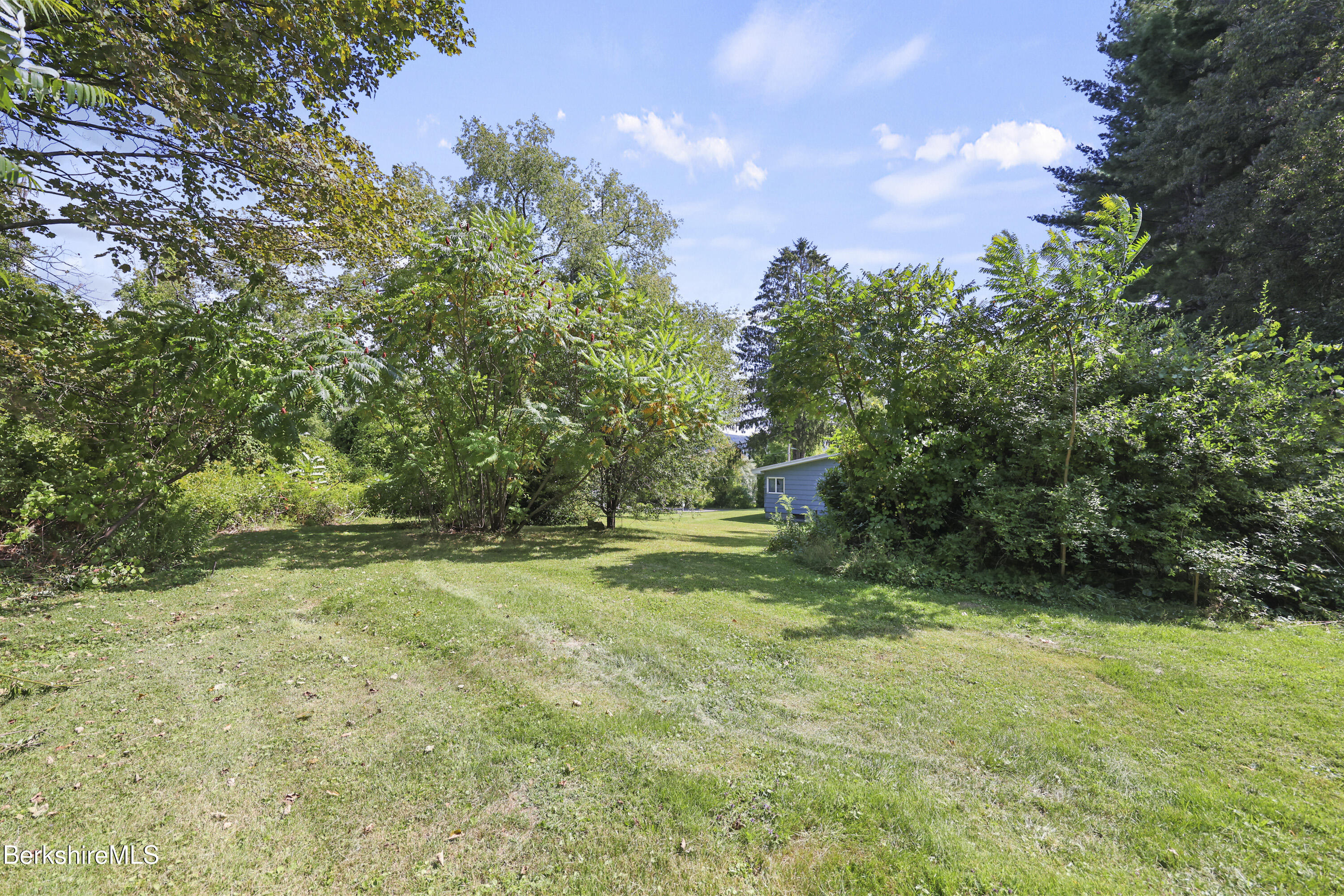 1070 Holmes Road Pittsfield, MA 01201 - Photo 32 of 36 Back Yard