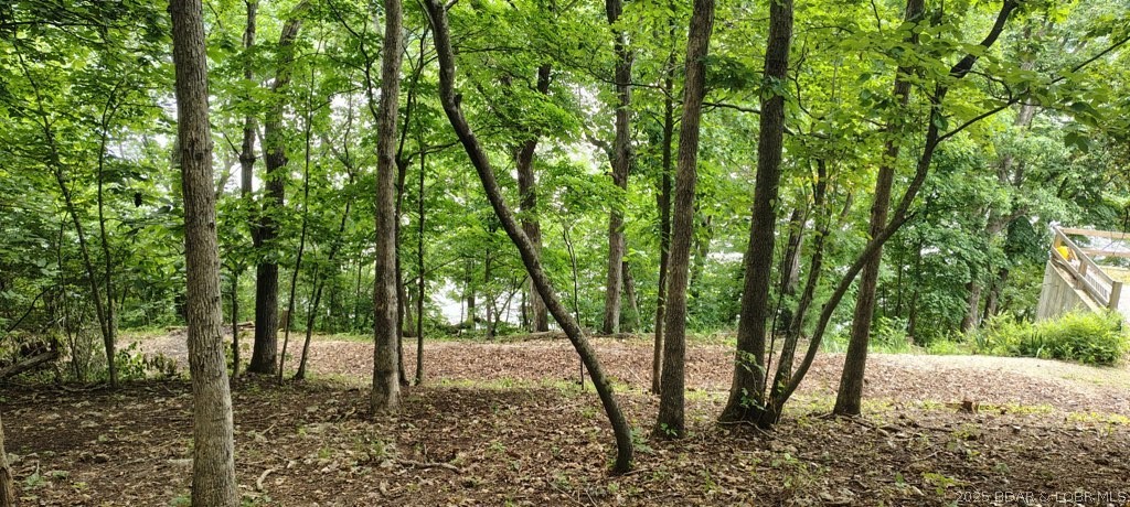20 Braden Road Stover, MO 65078 - Photo 5 of 18 2nd Lot View
