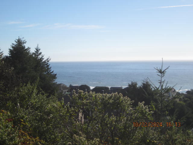 60 Spruce Road Shelter Cove, CA 95589 - Photo 12 of 21