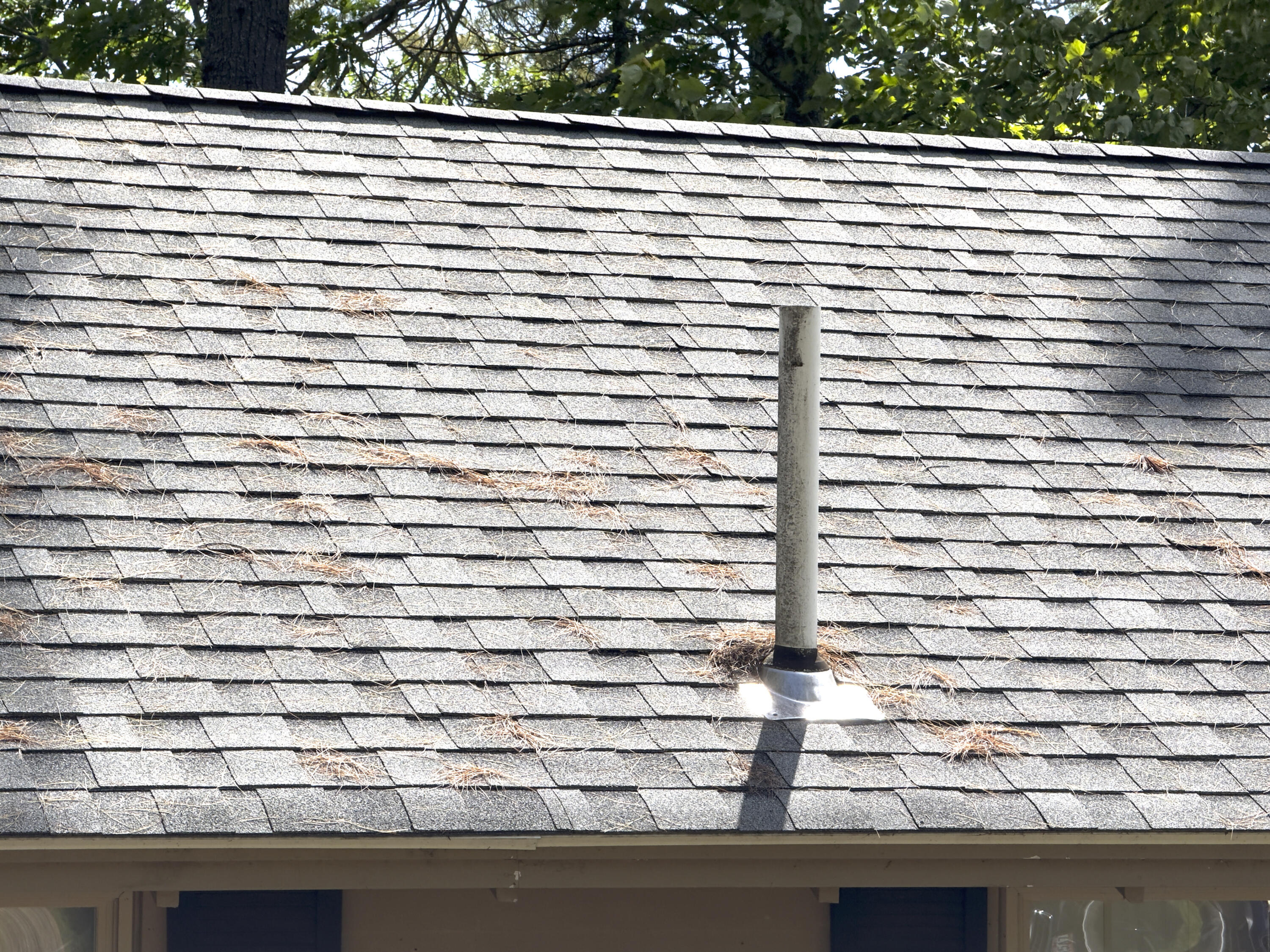 107 Haskell Avenue Raymond, ME 04071 - Photo 35 of 45 IMG_0223