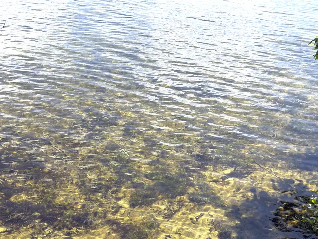 $364,999 | 107 Haskell Avenue, Raymond, ME 04071