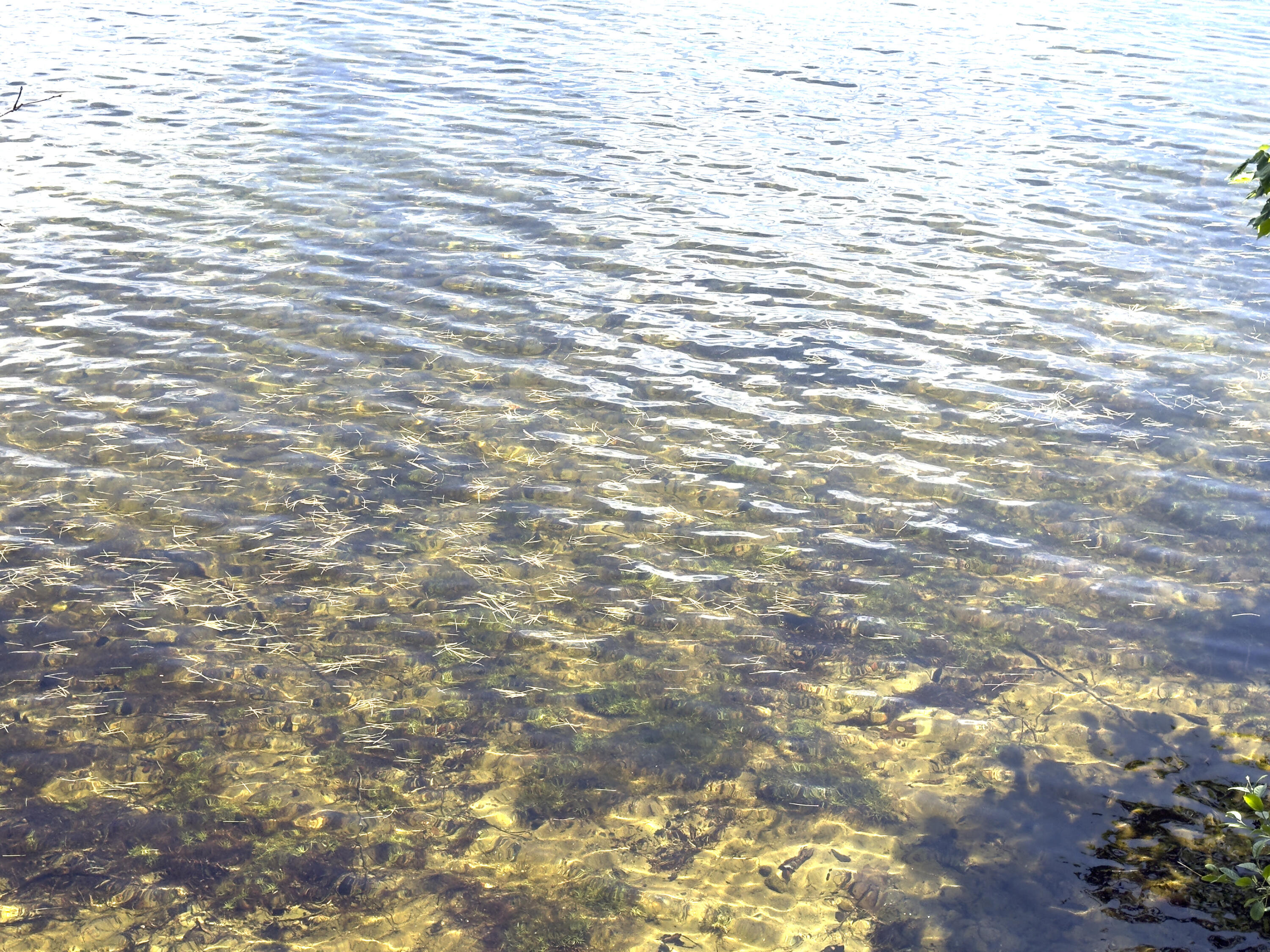 107 Haskell Avenue Raymond, ME 04071 - Photo 39 of 45 IMG_0229