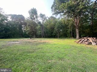 11064 Demarr Road White Plains, MD 20695 - Photo 22 of 98 a view of a backyard