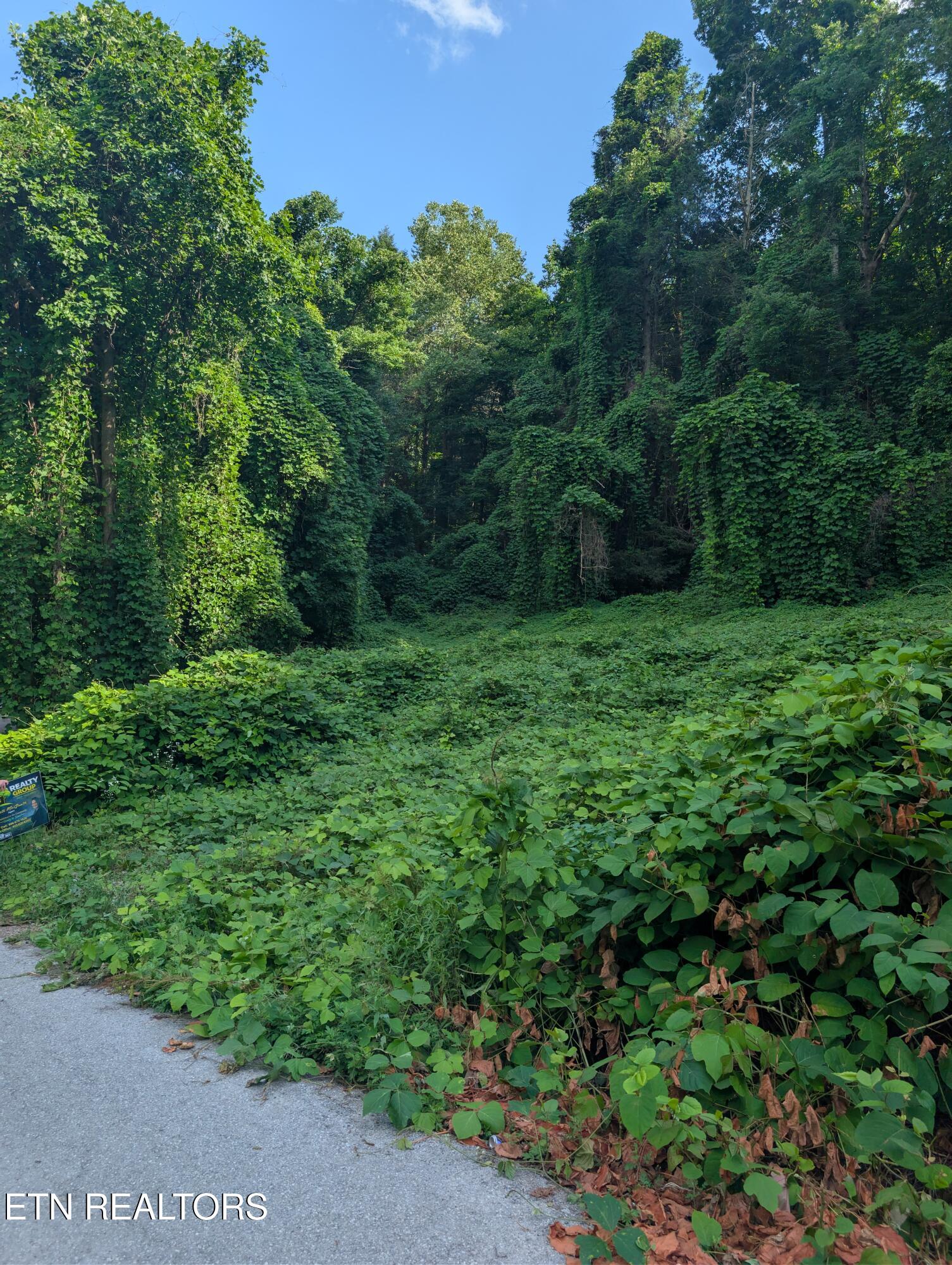 1577 Beans Fork Road Middlesboro, KY 40965 - Photo 1 of 2 1000018365