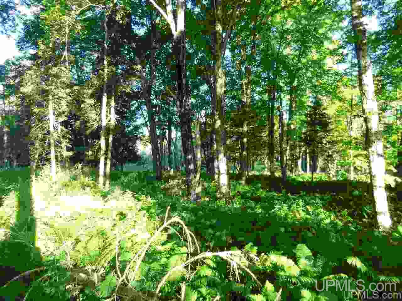 11918 T Road Rapid River, MI 49878 - Photo 22 of 49 Gallery Image 22