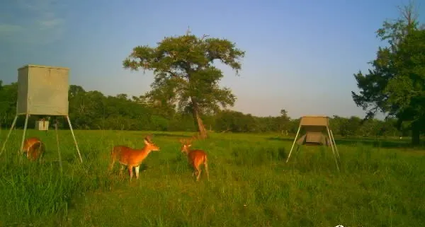 $725,000 | 2015 County Road 740, Sweeny, TX 77480