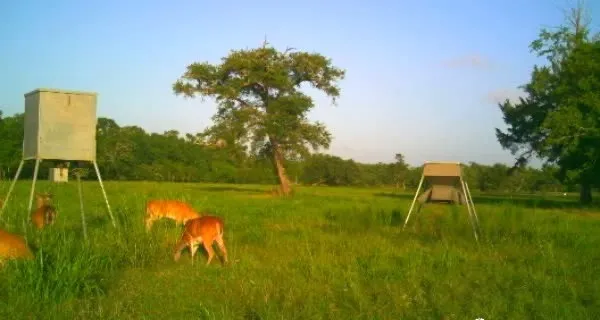 $725,000 | 2015 County Road 740, Sweeny, TX 77480