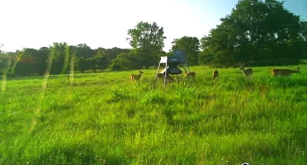 $725,000 | 2015 County Road 740, Sweeny, TX 77480