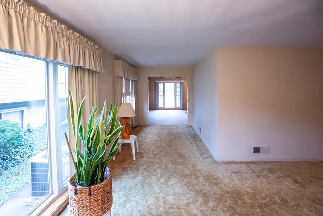 a view of a garden with windows