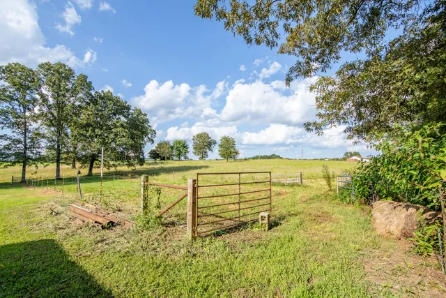 a view of a patio with table and chairs and a large tree