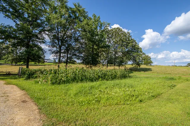 a view of a house with backyard and garden