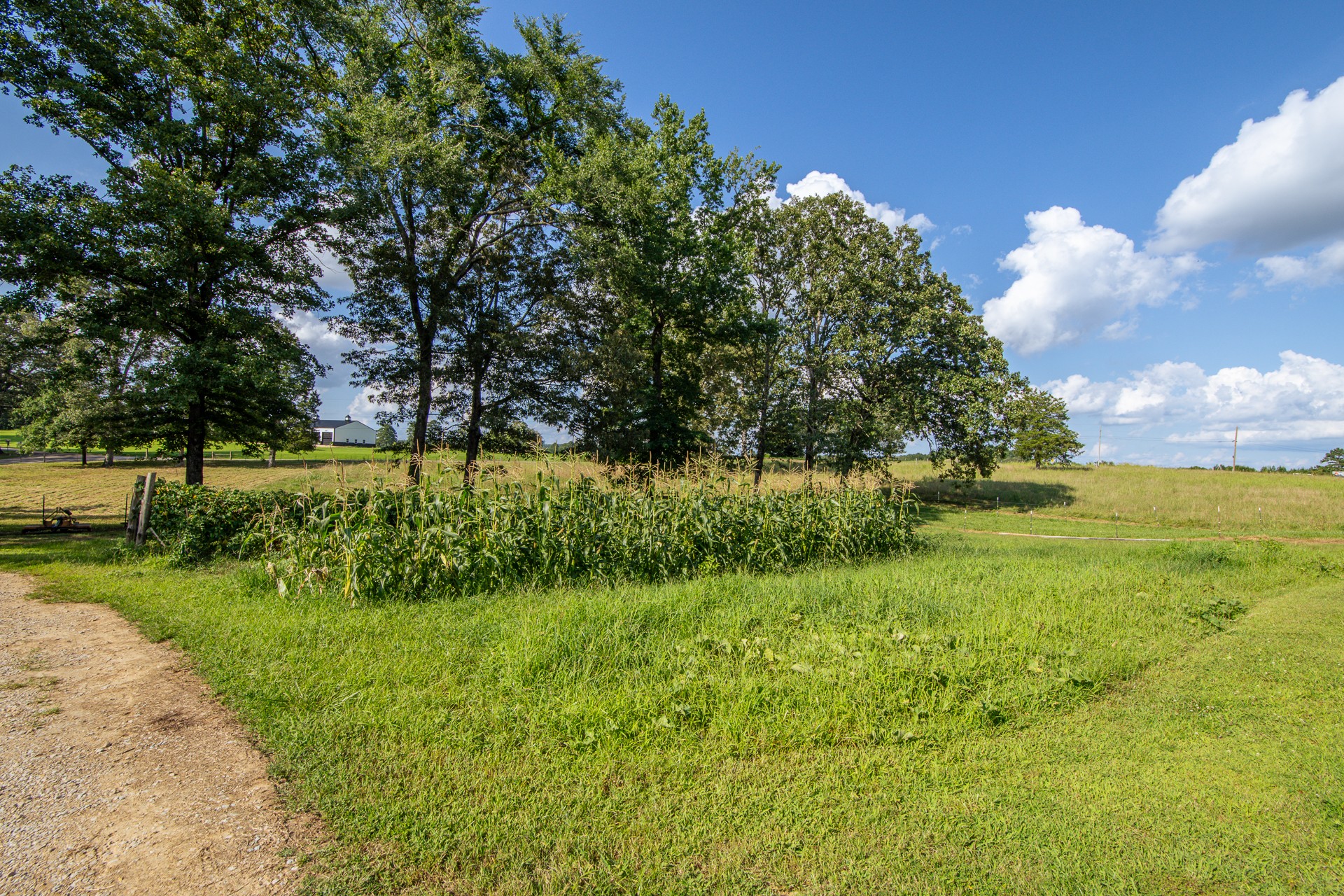 3130 Nance Bend Road Clifton, TN 38425 - Photo 5 of 76