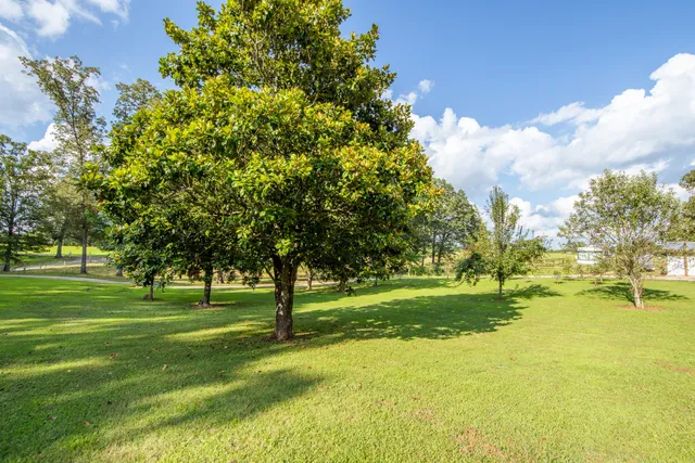 $245,000 | 3130 Nance Bend Road, Clifton, TN 38425