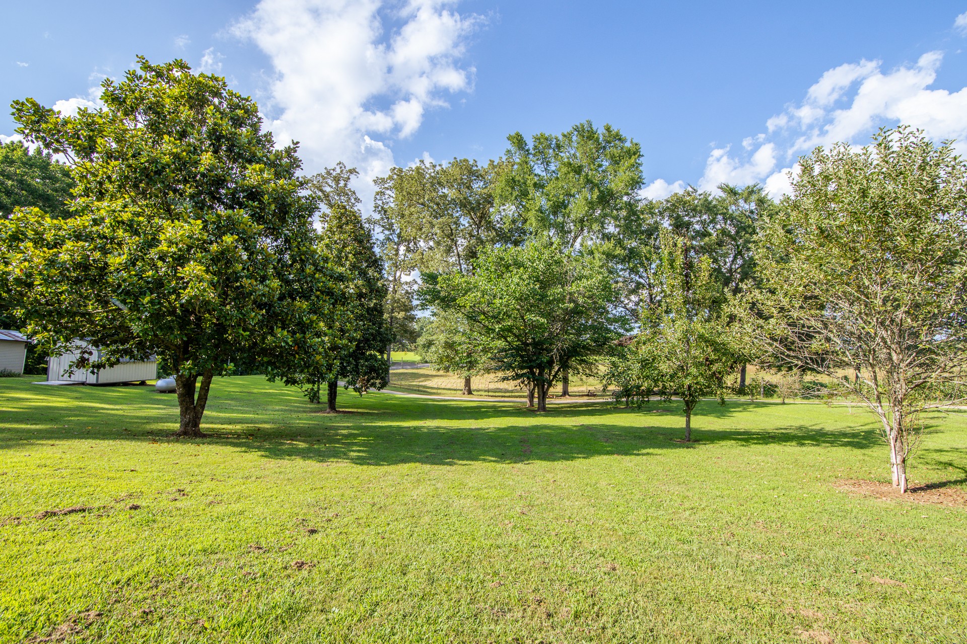 3130 Nance Bend Road Clifton, TN 38425 - Photo 55 of 76 a view of a golf course with a garden