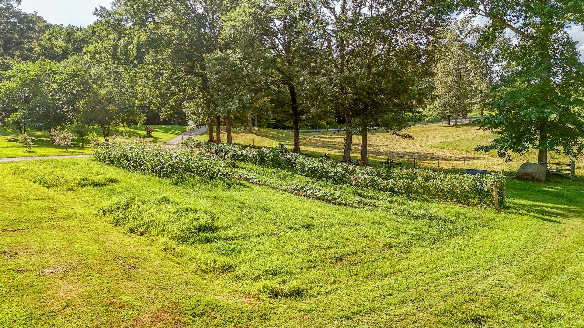 3130 Nance Bend Road Clifton, TN 38425 - Photo 6 of 76 a view of yard with green space and trees