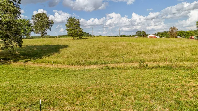 a view of an ocean from a yard