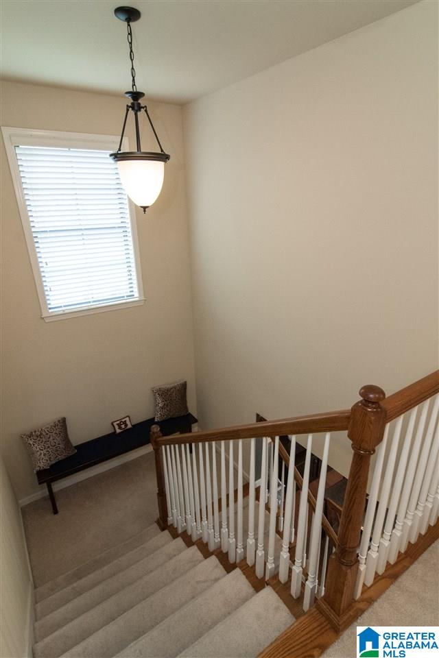 172 Chinaberry Lane Alabaster, AL 35114 - Photo 22 of 45