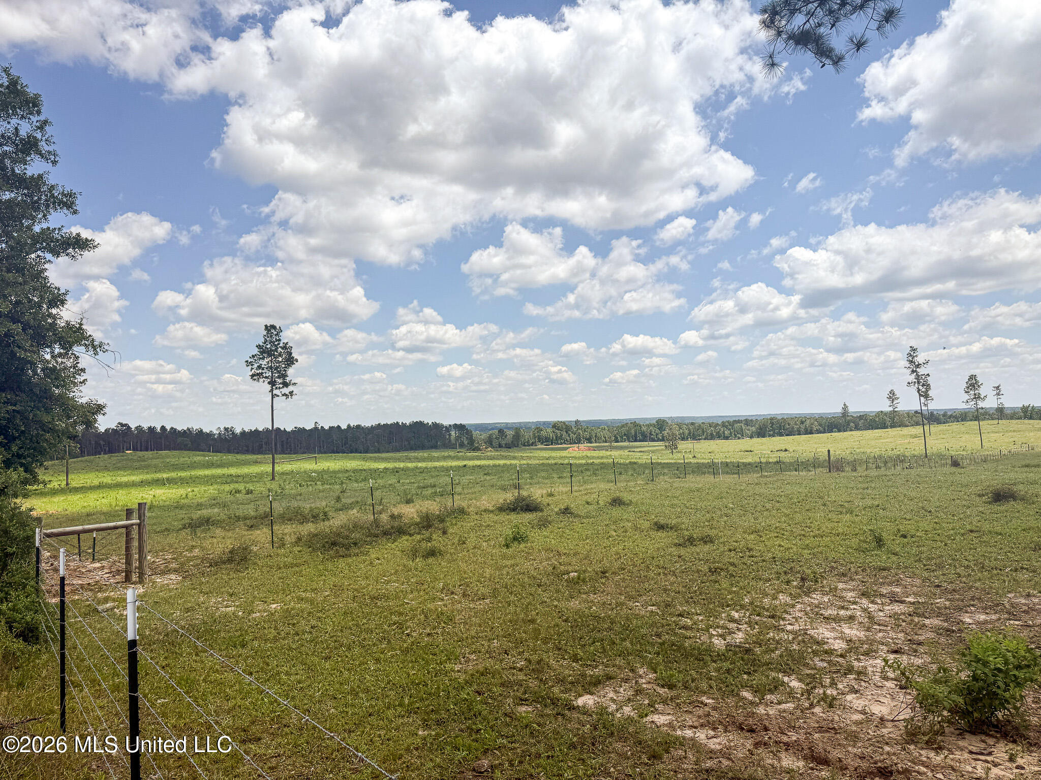 Southeast Gleenwood Road Southeast Ruth, MS 39662 - Photo 22 of 24 IMG_1412-2