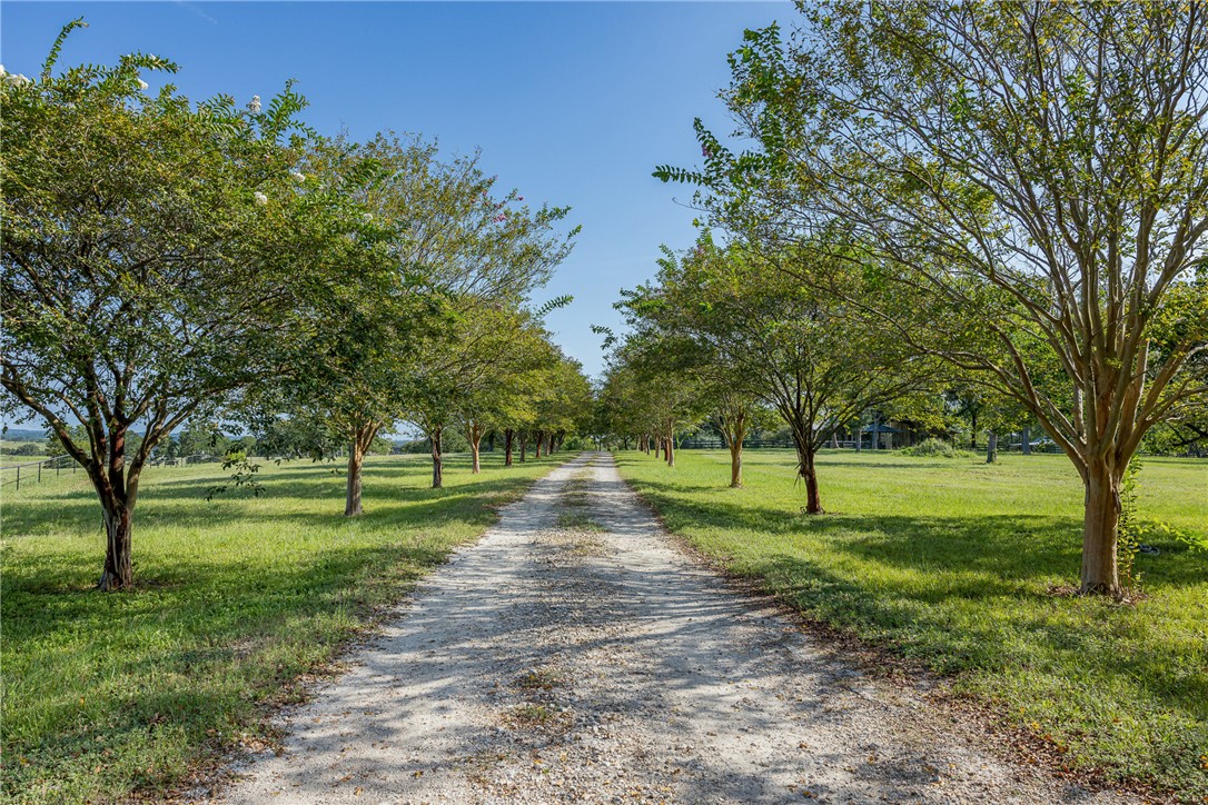 5107 Bovista Ranch Road Navasota, TX 77868 - Photo 2 of 50 a view of a park with trees in the background