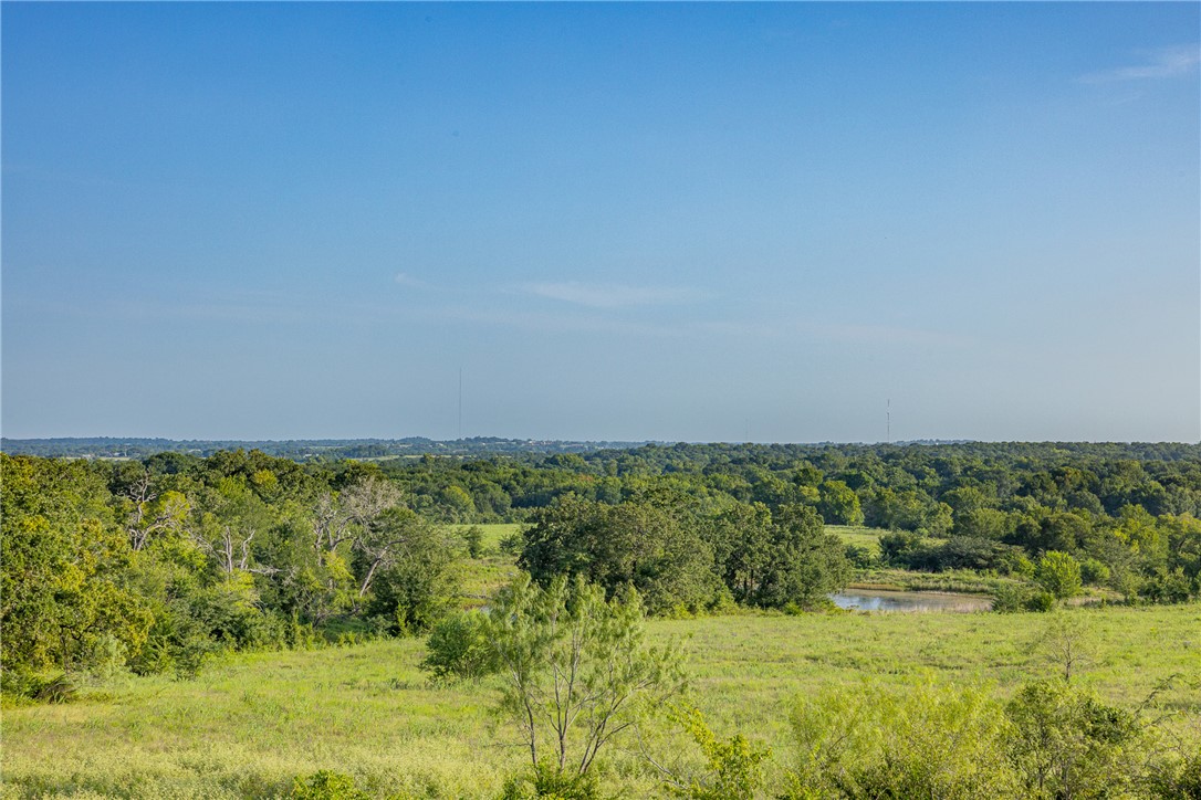 5107 Bovista Ranch Road Navasota, TX 77868 - Photo 23 of 50 a view of a yard with an outdoor space