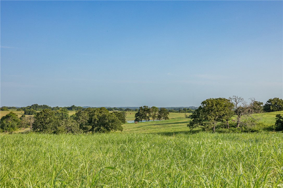5107 Bovista Ranch Road Navasota, TX 77868 - Photo 24 of 50 a view of garden with lawn chairs
