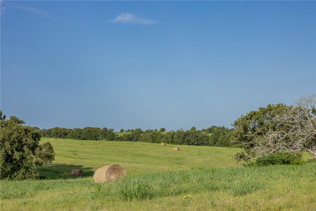 5107 Bovista Ranch Road Navasota, TX 77868 - Photo 25 of 50 a view of a lake with a yard