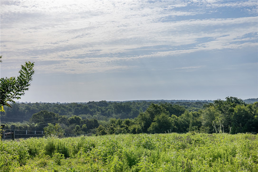 5107 Bovista Ranch Road Navasota, TX 77868 - Photo 29 of 50 an aerial view of a city