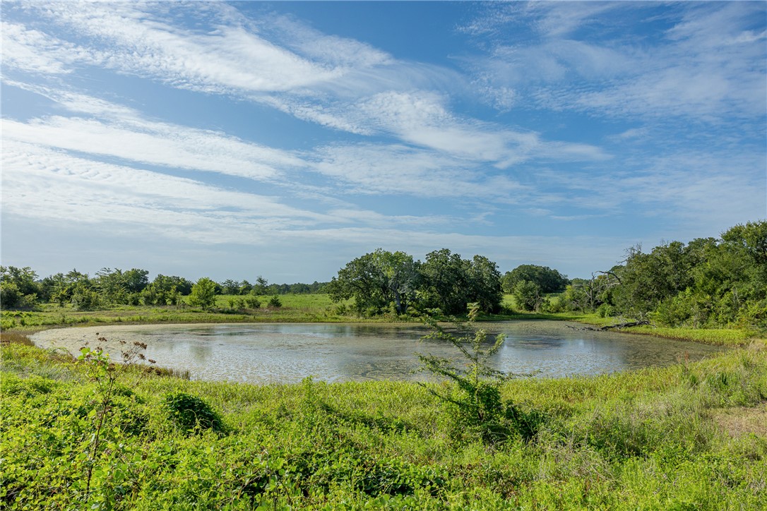5107 Bovista Ranch Road Navasota, TX 77868 - Photo 31 of 50 a view of a lake with houses in the back