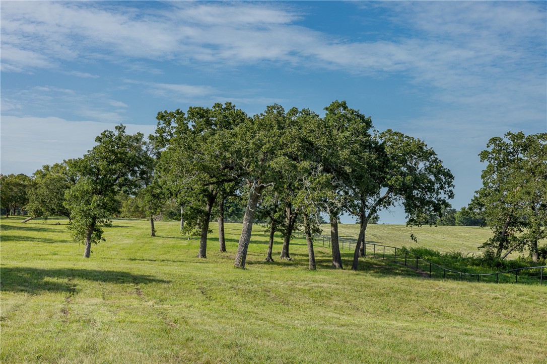 5107 Bovista Ranch Road Navasota, TX 77868 - Photo 32 of 50 a view of a park