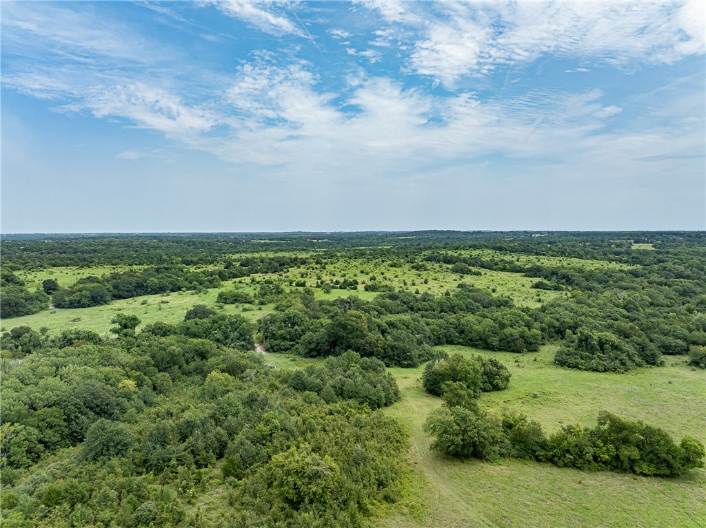 5107 Bovista Ranch Road Navasota, TX 77868 - Photo 39 of 50 an aerial view of beach and lots of trees