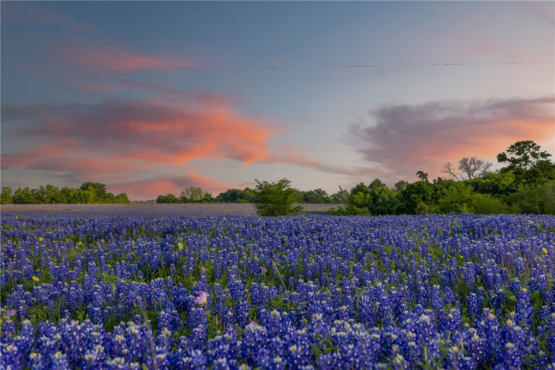 5107 Bovista Ranch Road Navasota, TX 77868 - Photo 42 of 50 a view of a lake