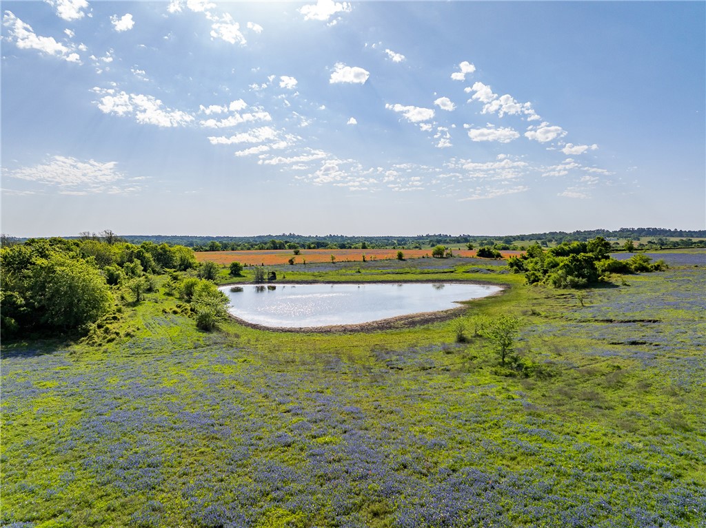 5107 Bovista Ranch Road Navasota, TX 77868 - Photo 45 of 50 a view of a lake with a big yard