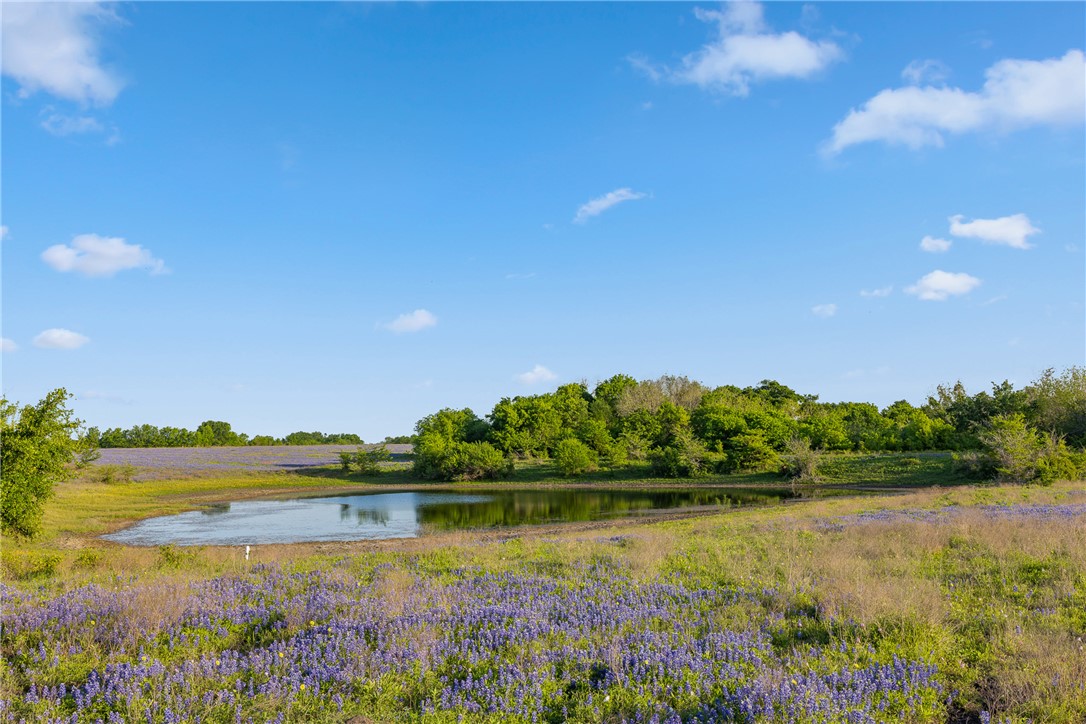 5107 Bovista Ranch Road Navasota, TX 77868 - Photo 46 of 50 a view of lake with green space
