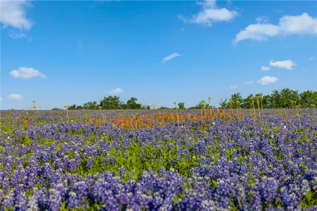 a view of a yard with an outdoor space