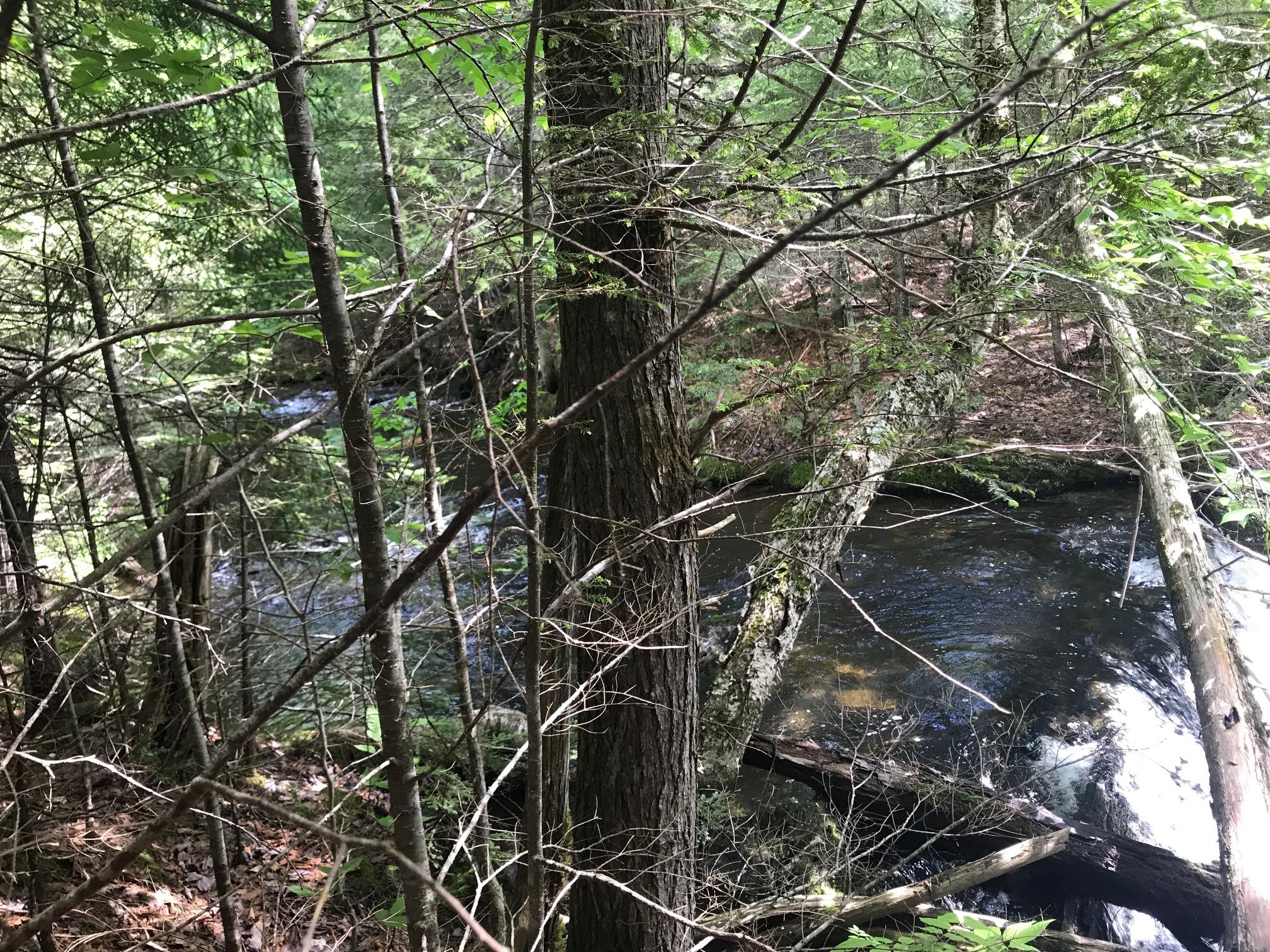 Tbd Milo Road Sebec, ME 04481 - Photo 10 of 18 IMG_2148 - Copy