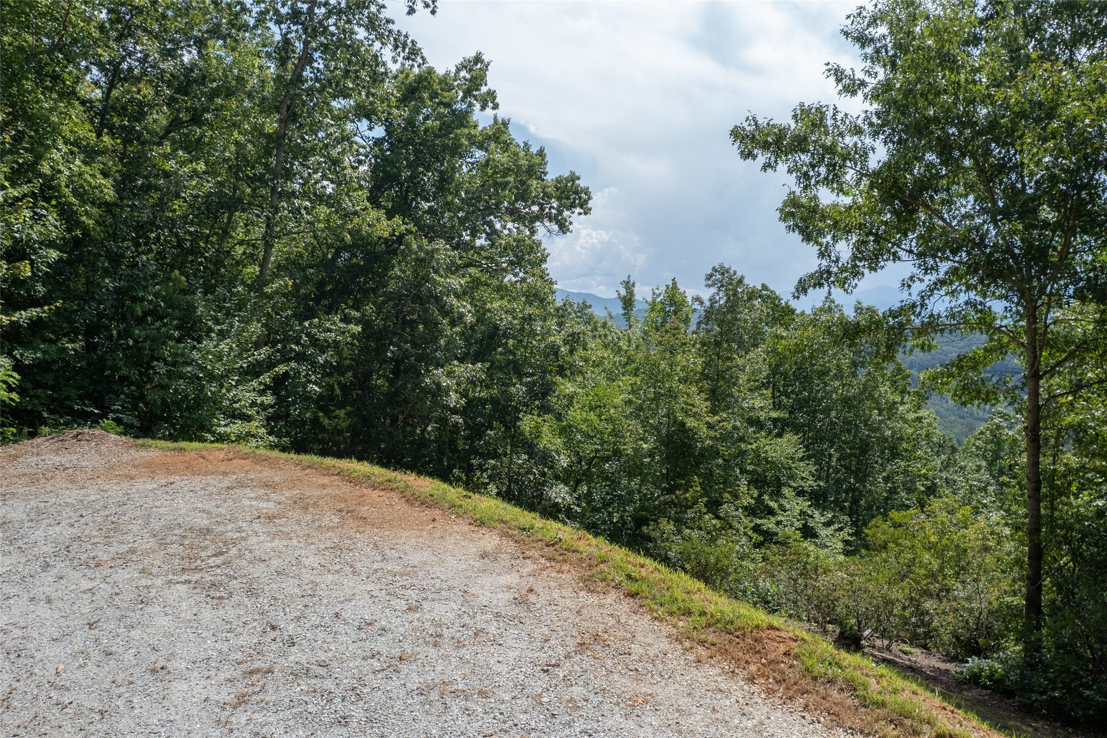 Tbd Onion Mountain Road Franklin, NC 28734 - Photo 14 of 24 Gallery Image 14