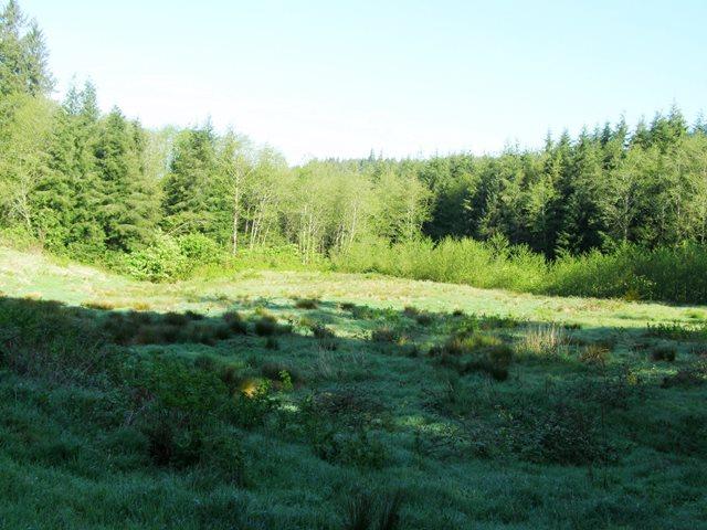 Tl#605 Latimer Road North Tillamook, OR 97141 - Photo 6 of 28 P5021220