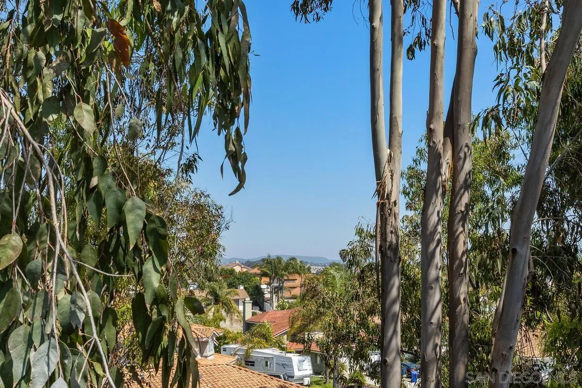 2902 Thunder Drive Oceanside, CA 92056 - Photo 29 of 30 a view of a plant in a garden