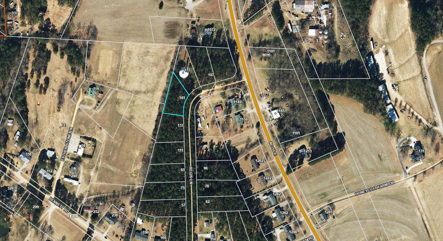 161 Regis Lane Coats, NC 27521 - Photo 35 of 38 a view of shower