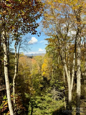 a view of mountain view with lots of trees