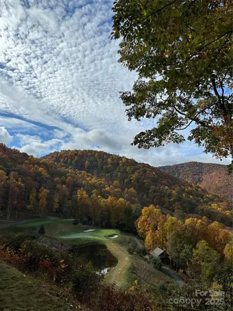 a view of a yard with a tree in the background
