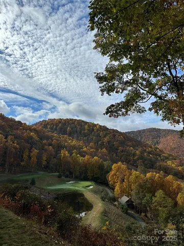 a view of a yard with a tree in the background
