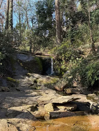 a view of outdoor space with lots of trees