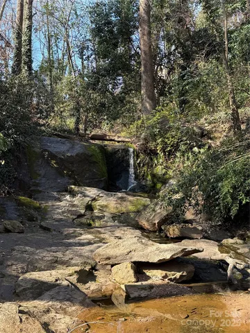 a view of outdoor space with lots of trees