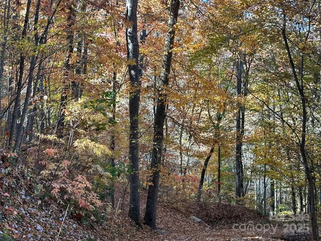 a view of outdoor space with green space