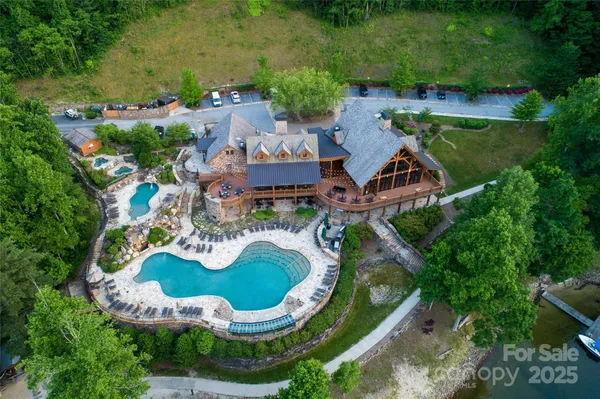 a view of a yard with plants and trees
